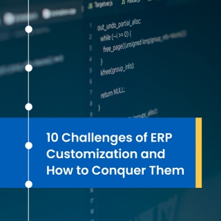 10 Challenges of ERP Customization