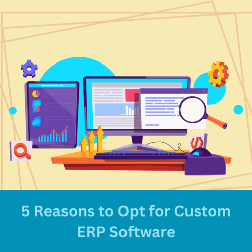 5 Reasons to Opt for Custom ERP Software