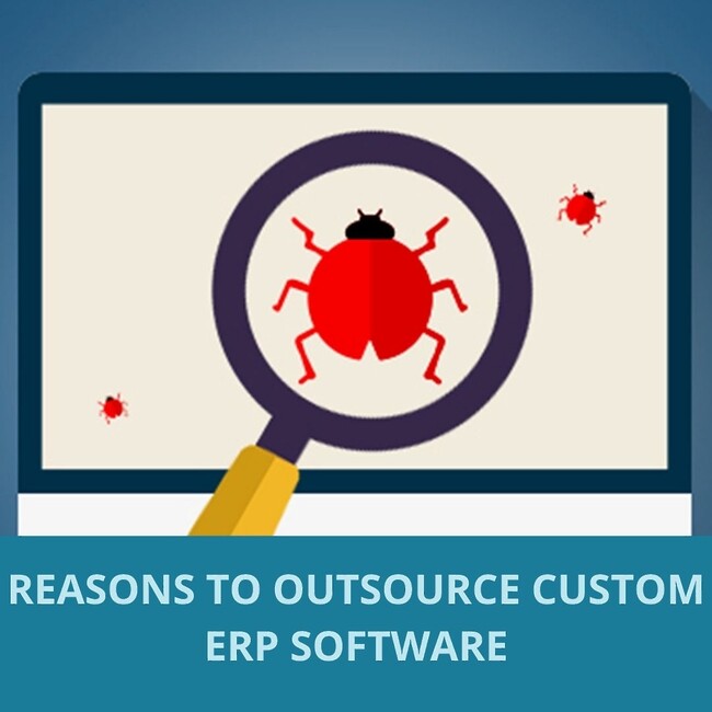 custom ERP software