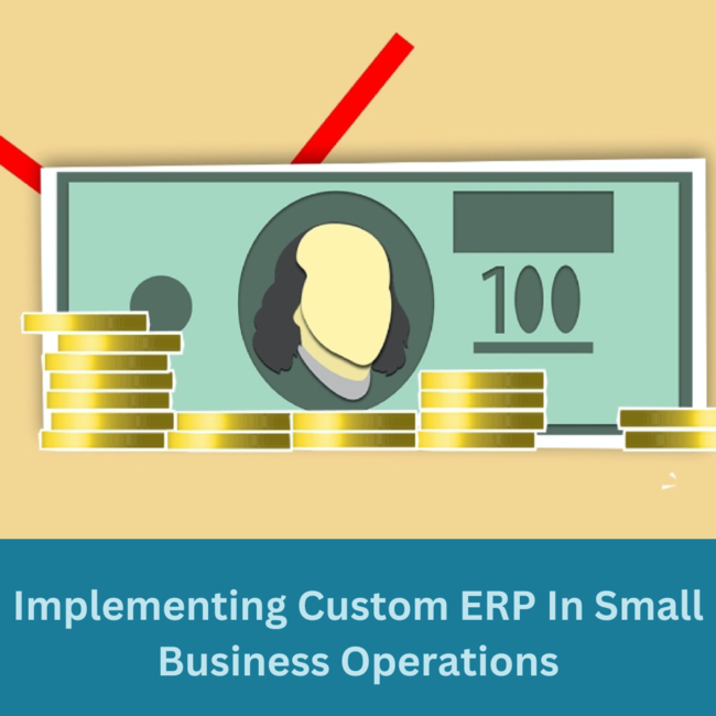Custom ERP software