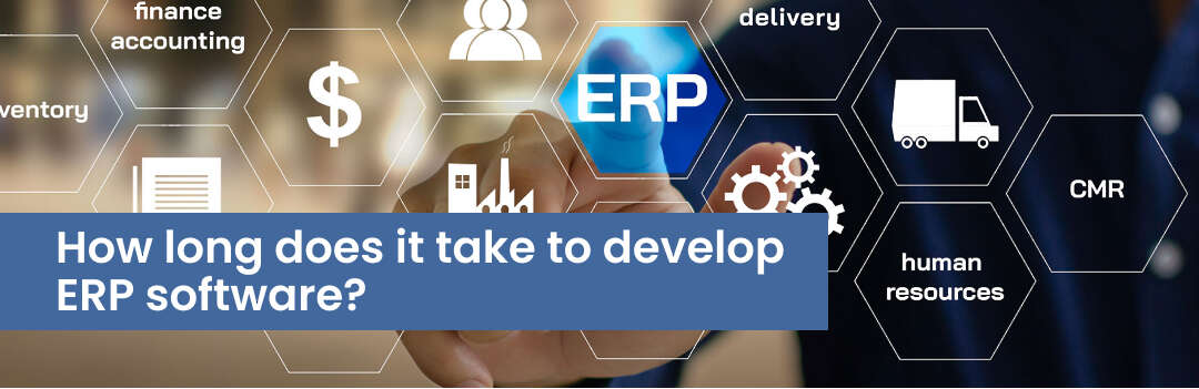 How Much Does It Cost To Develop ERP Software?