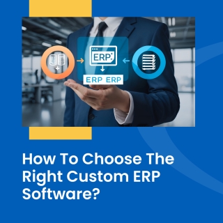 custom ERP 