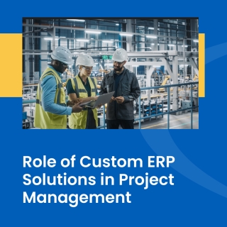 Custom ERP for project management