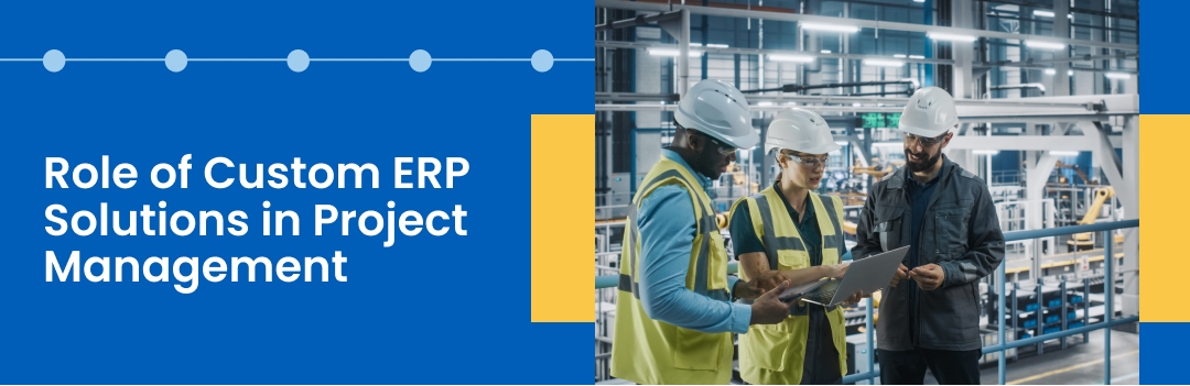 Custom ERP for project management