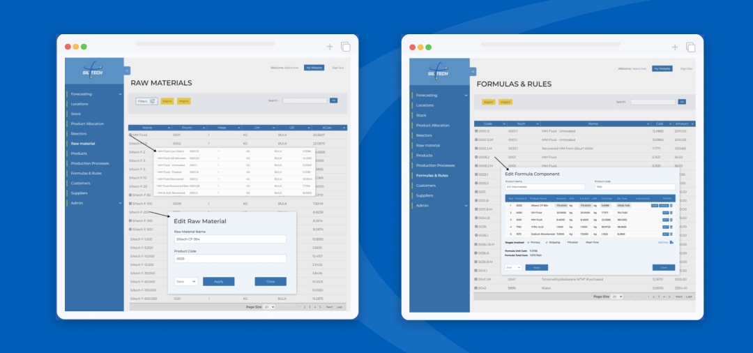 Role of Custom ERP Solutions in Project Management