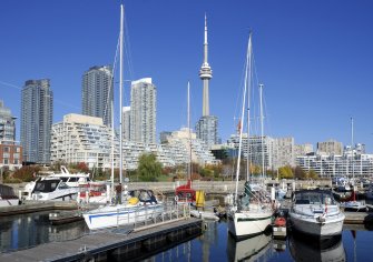 The Need For SEO For Toronto Based Companies