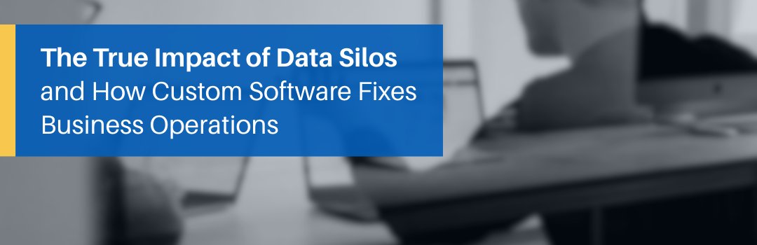Prevent Data Silos With Custom Software