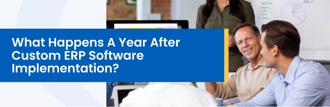 What Happens A Year After Custom ERP Software Implementation? 
