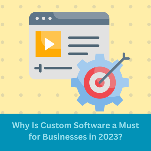 Why Is Custom Software a Must for Businesses in 2023?