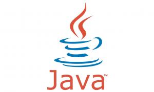 Why Our Custom Software Solutions Use Java